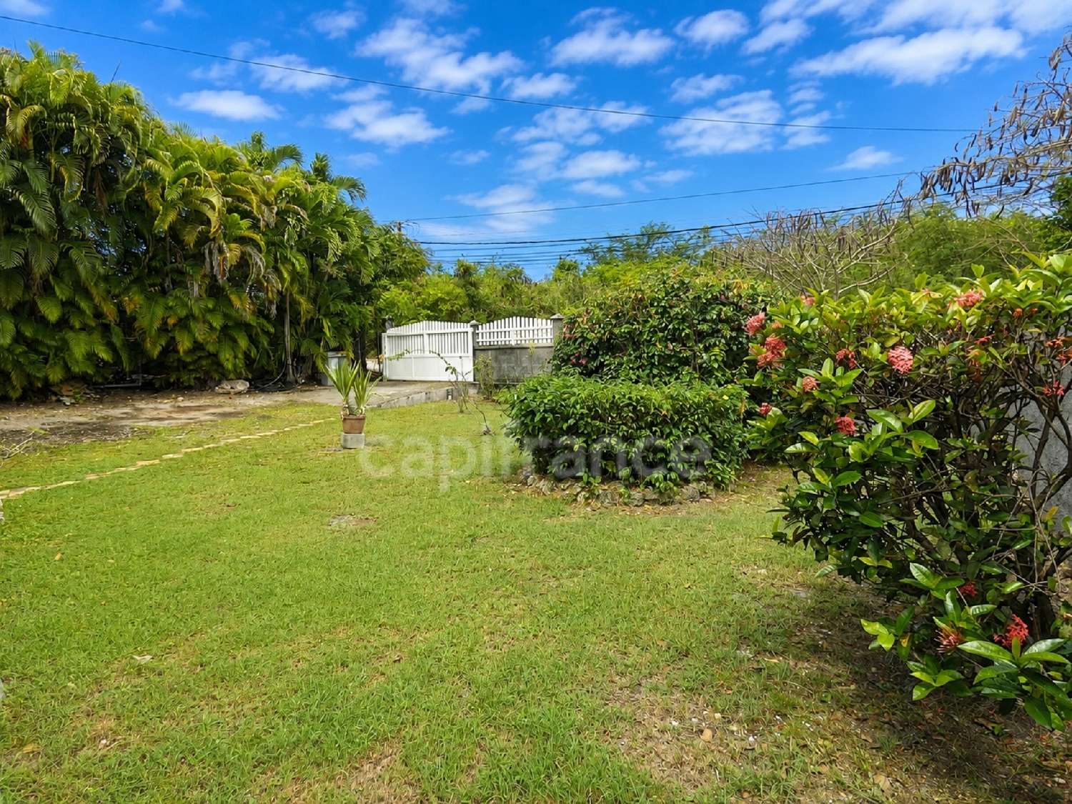 for sale house Saint-François Guadeloupe 6