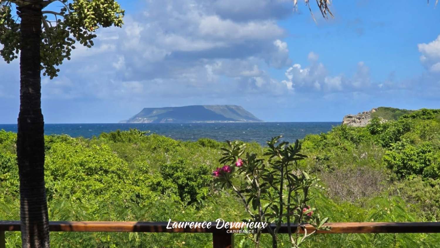 for sale house Saint-François Guadeloupe 2
