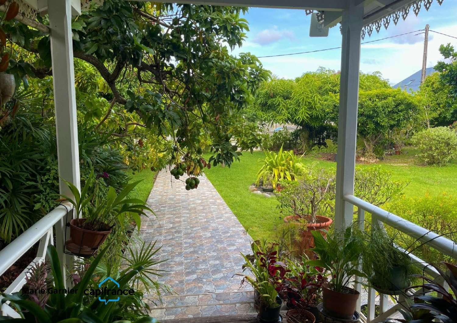  en venta casa Saint-François Guadeloupe 3