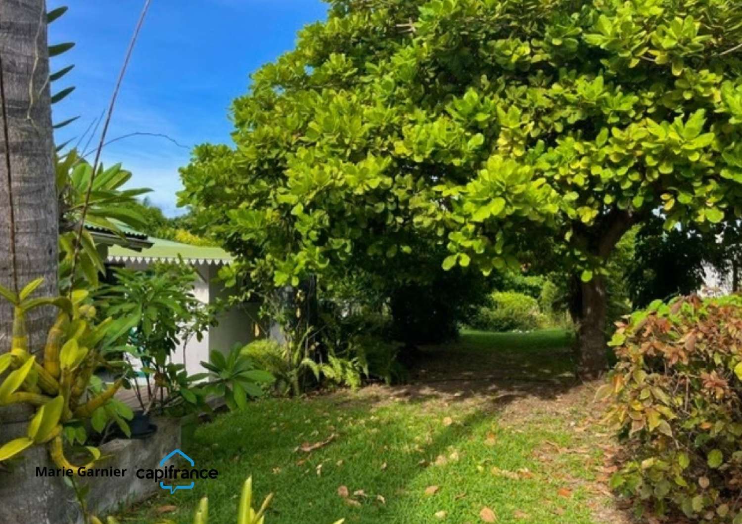 en venta casa Saint-François Guadeloupe 4