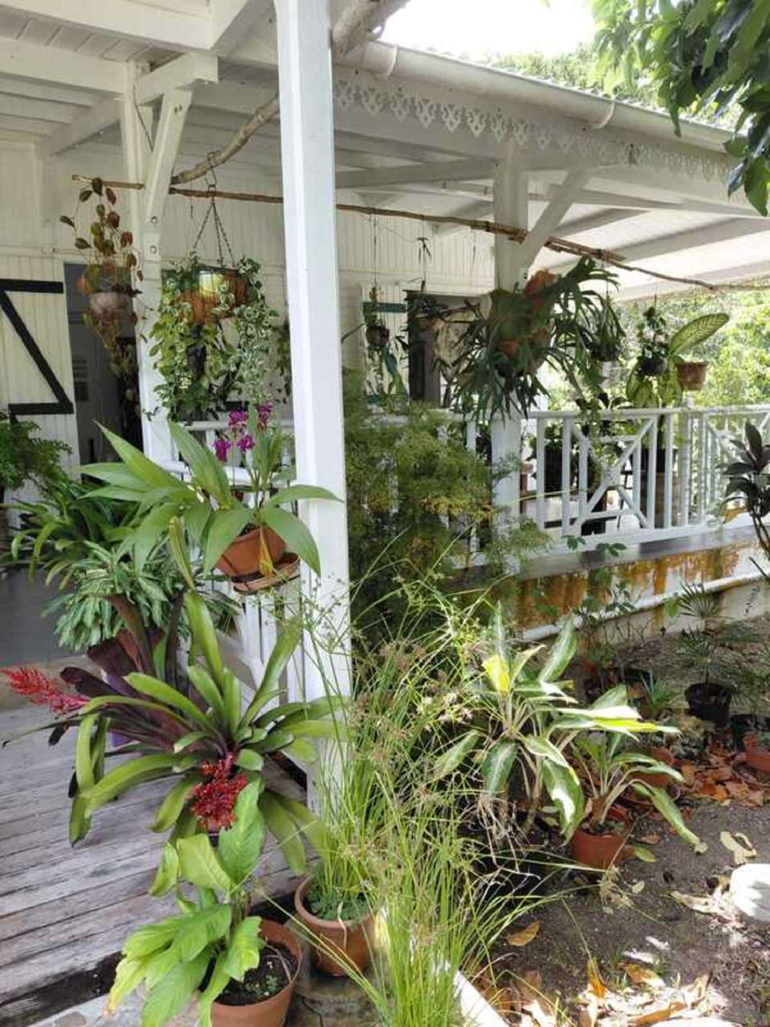  en venta casa Saint-François Guadeloupe 7