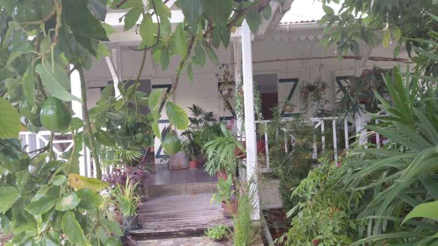  en venta casa Saint-François Guadeloupe 8