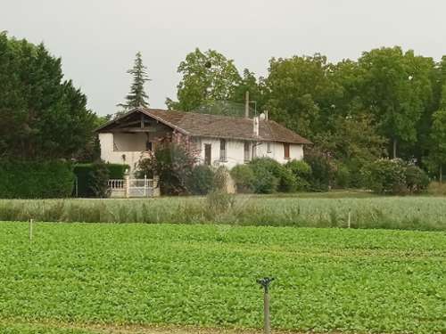 Saint-Georges-de-Reneins Rhône Haus Bild 7418375