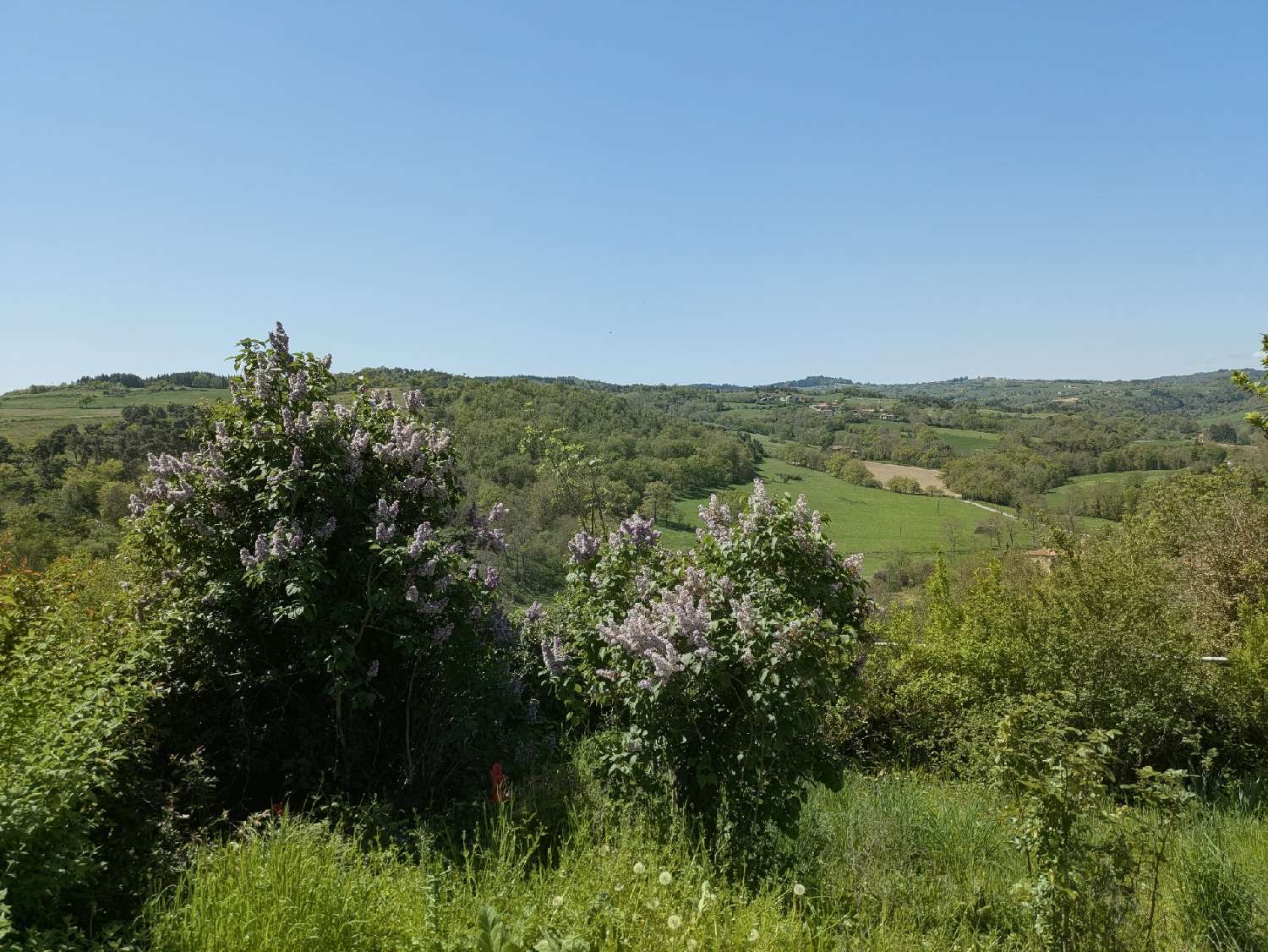 for sale house Saint-Germain-Laval Loire 4