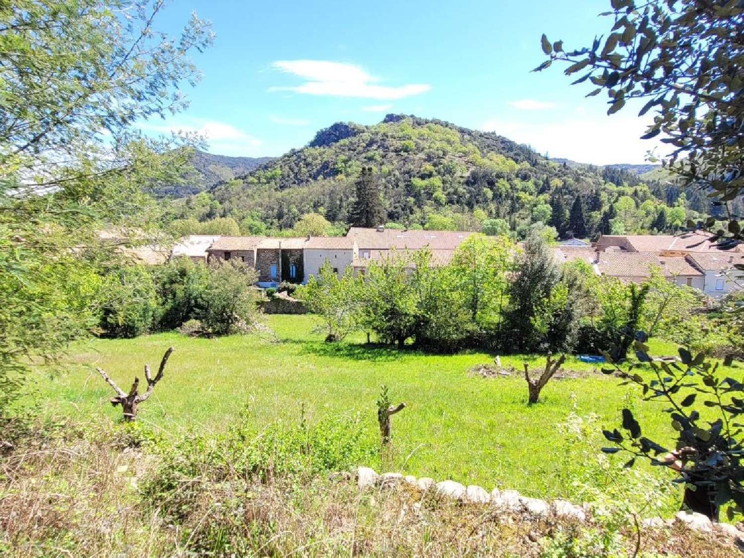 kaufen Haus Saint-Gervais-sur-Mare Hérault 6
