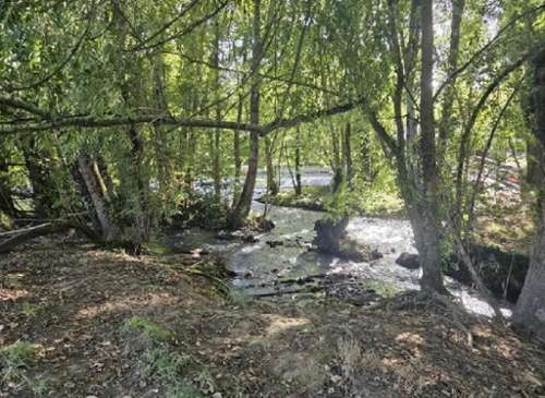 Saint-Hilaire Charente casa foto 7435271