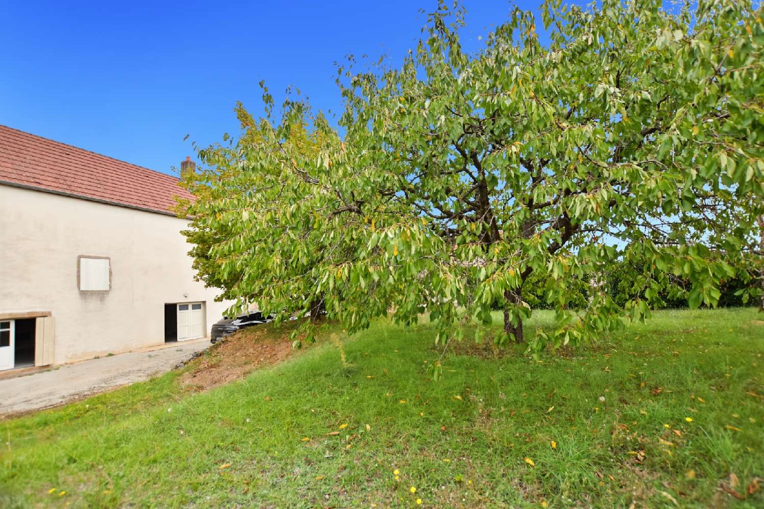 for sale house Saint-Jean-de-Trézy Saône-et-Loire 5