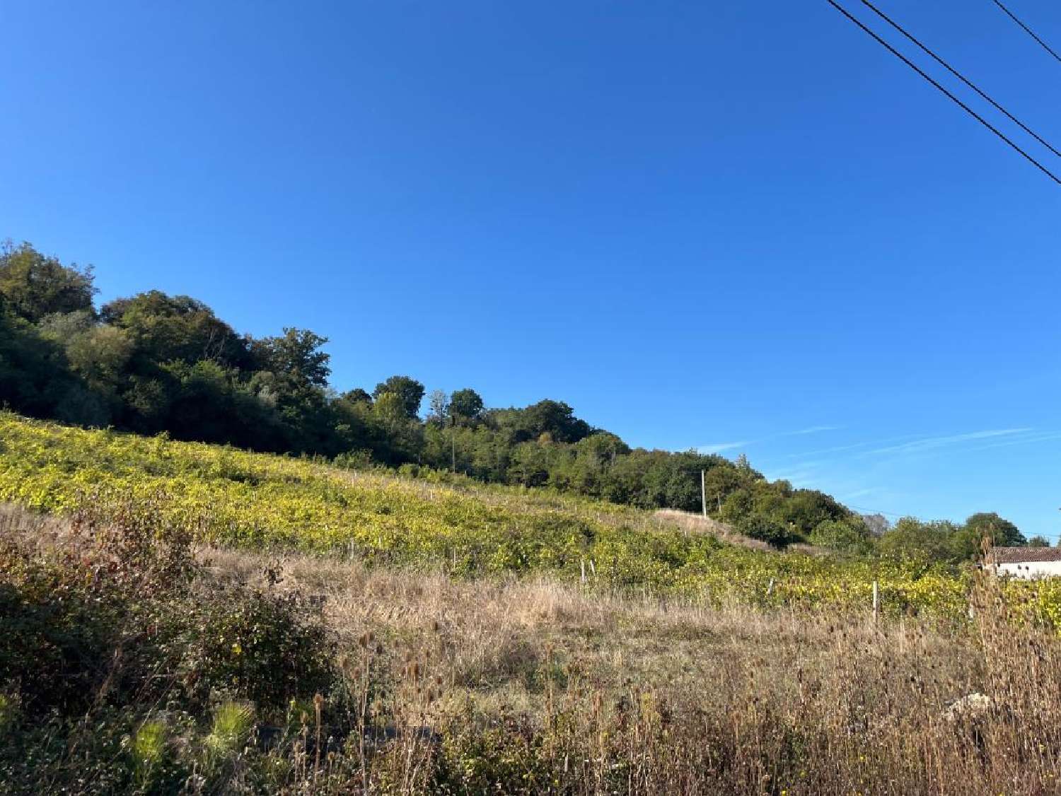 for sale house Saint-Jean-de-Blaignac Gironde 2