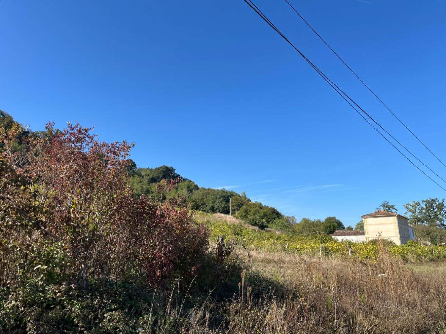 for sale house Saint-Jean-de-Blaignac Gironde 3
