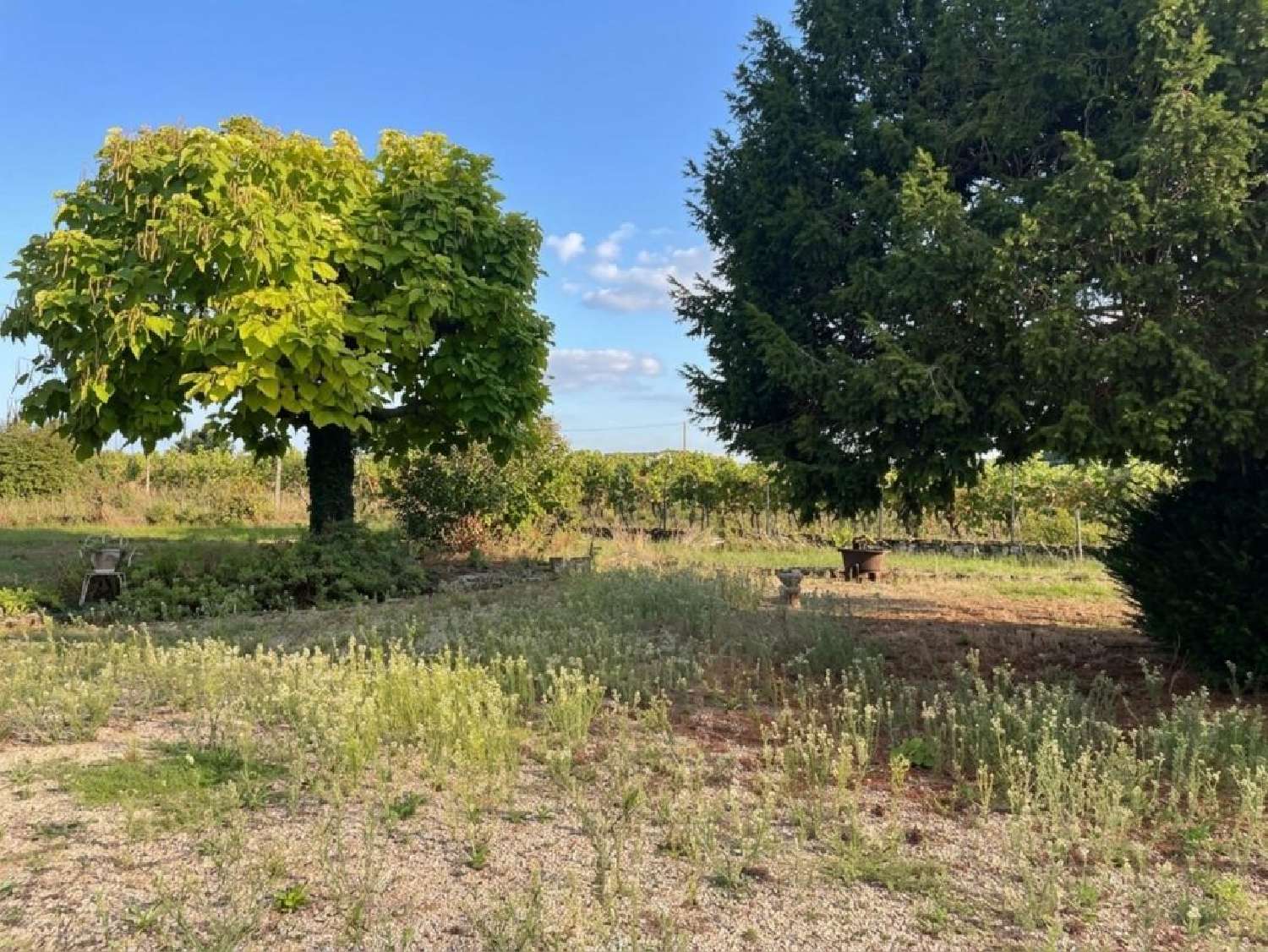 for sale house Saint-Laurent-de-Cognac Charente 6
