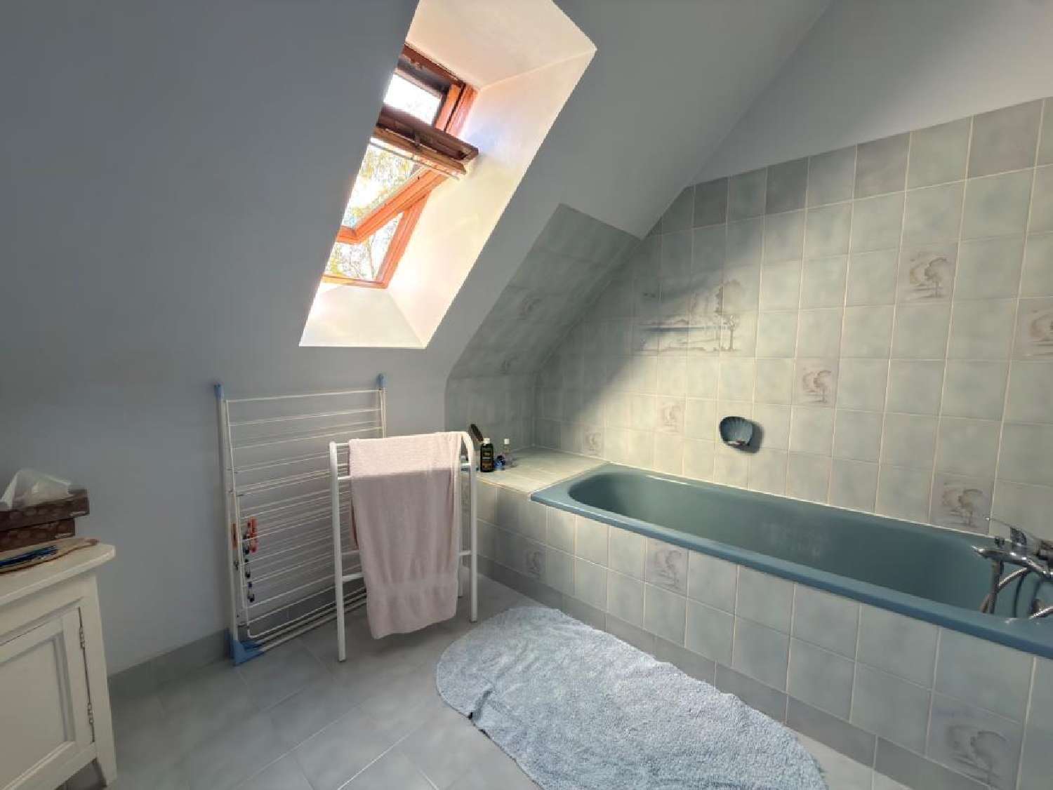 for sale house Saint-Léger-des-Aubées Eure-et-Loir 7