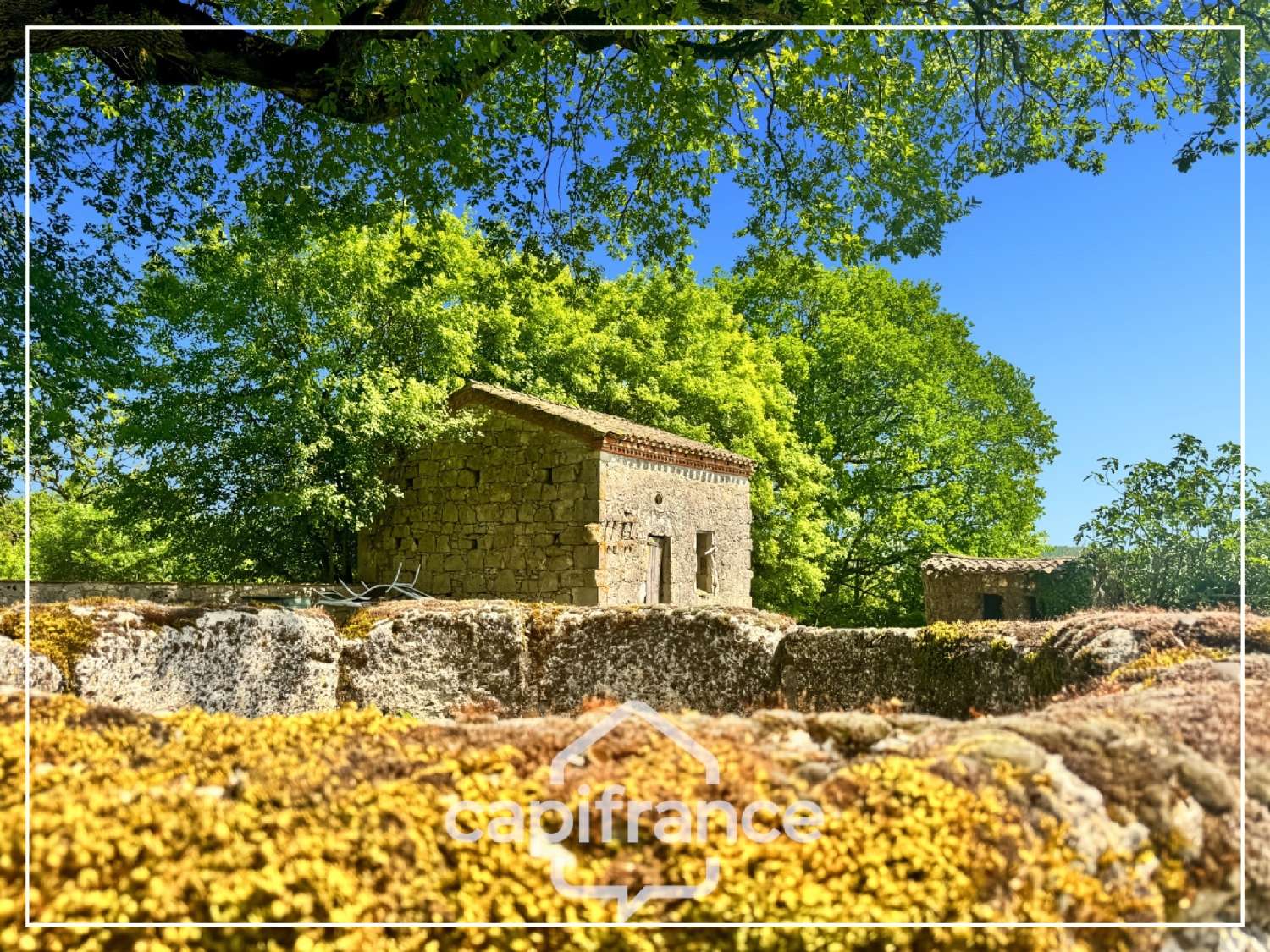 kaufen Haus Saint-Robert Lot-et-Garonne 5