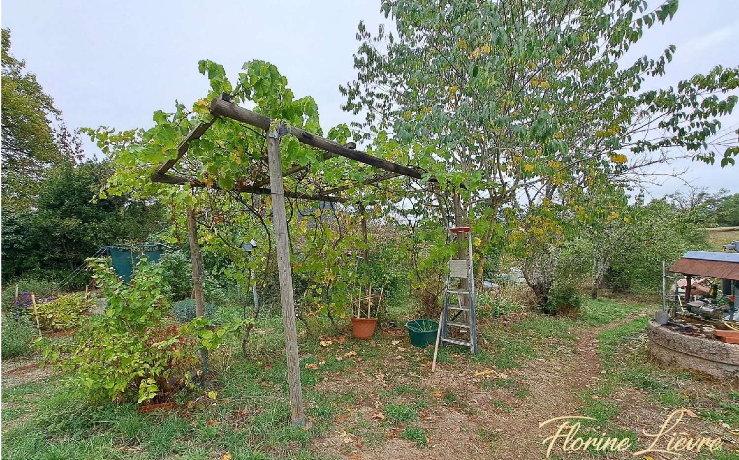  for sale house Saint-Sauvier Allier 3
