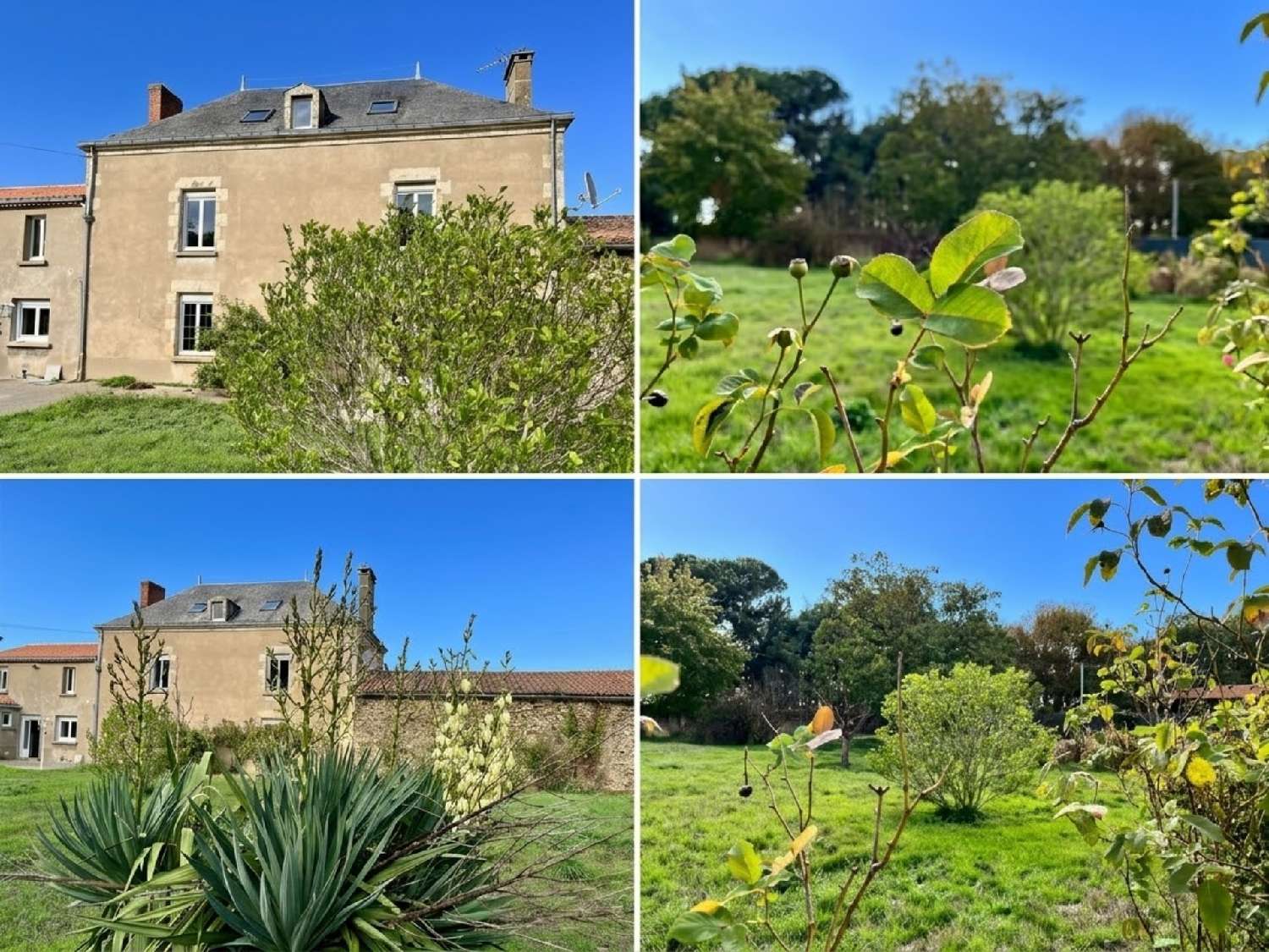 for sale house Saint-Sulpice-le-Verdon Vendée 1