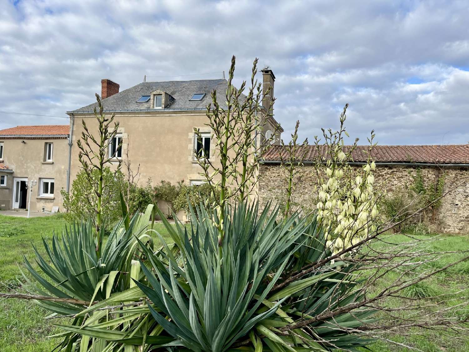 for sale house Saint-Sulpice-le-Verdon Vendée 4