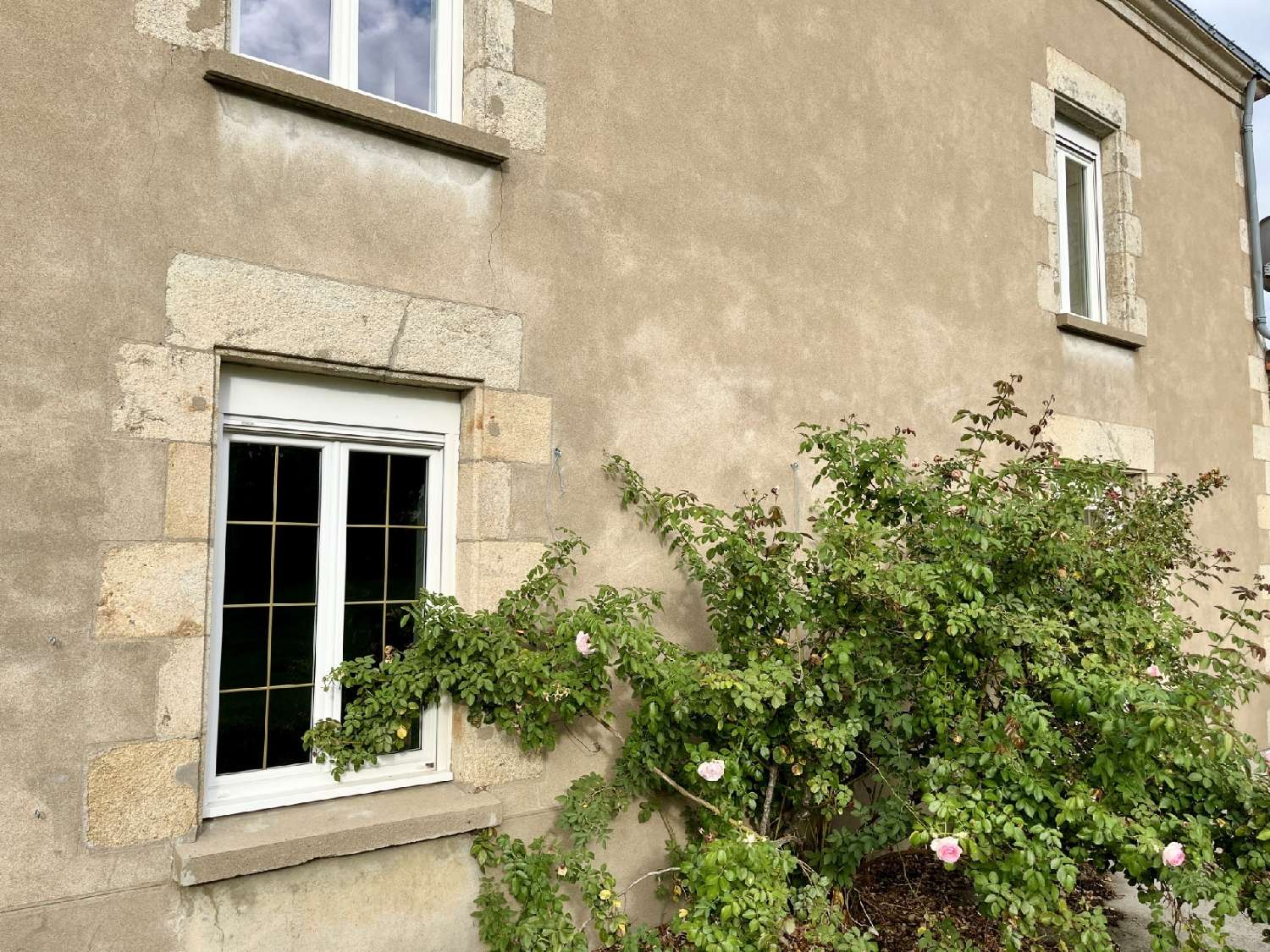 for sale house Saint-Sulpice-le-Verdon Vendée 6