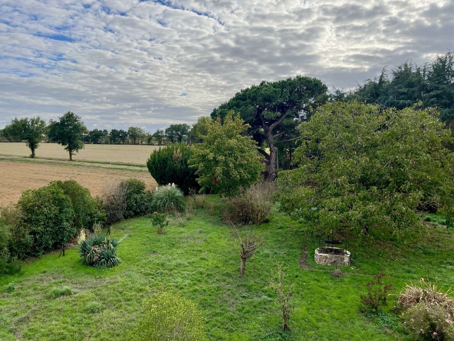 for sale house Saint-Sulpice-le-Verdon Vendée 7