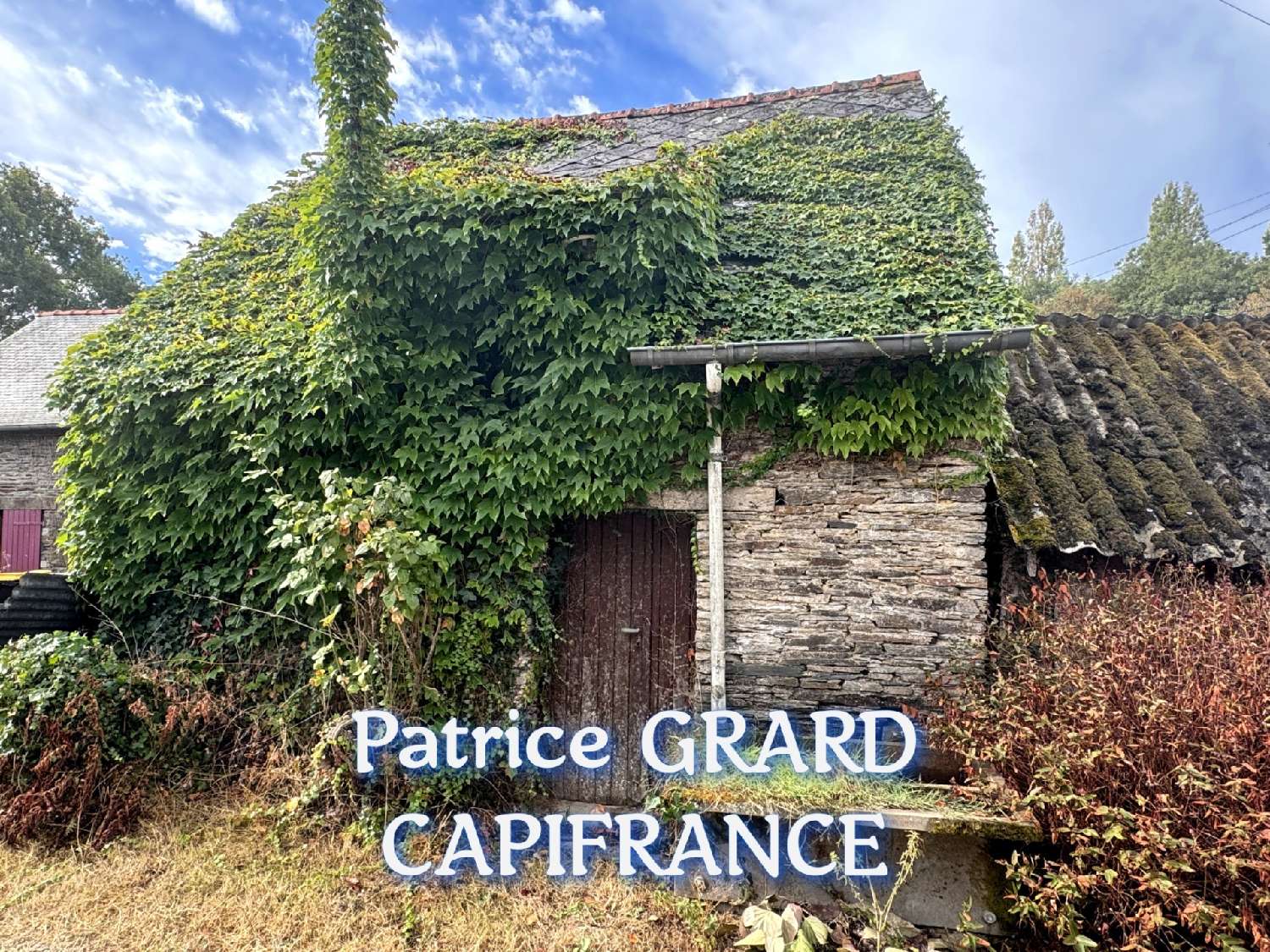 for sale house Sainte-Anne-sur-Vilaine Ille-et-Vilaine 8