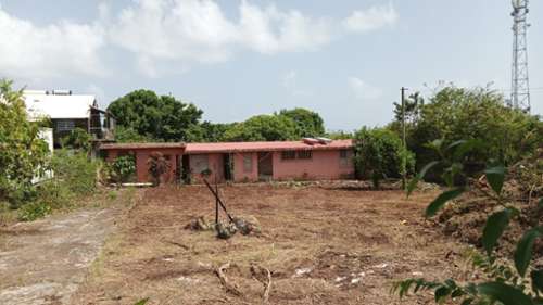 Sainte-Anne Guadeloupe Haus Bild 7420709