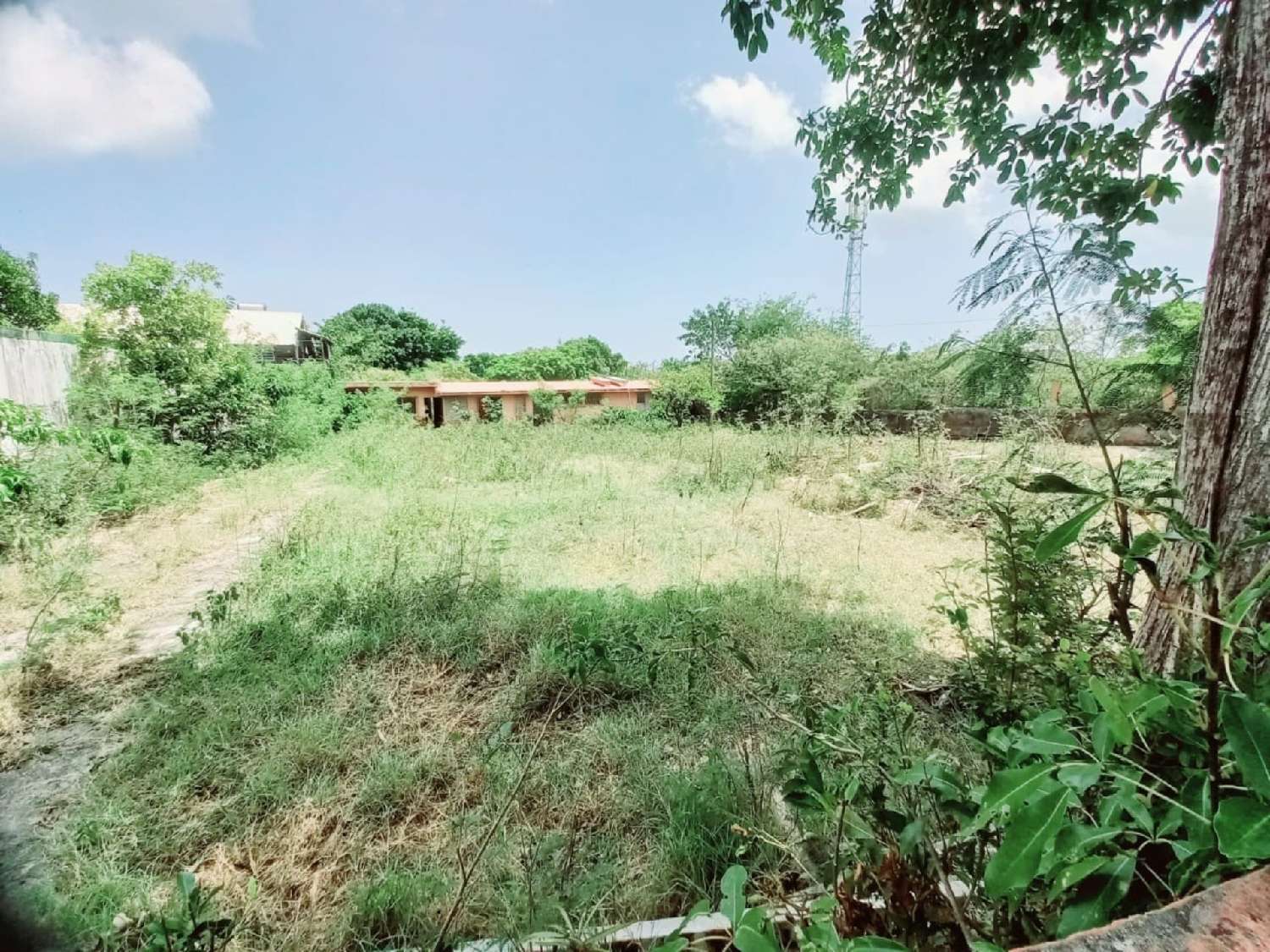 kaufen Haus Sainte-Anne Guadeloupe 2