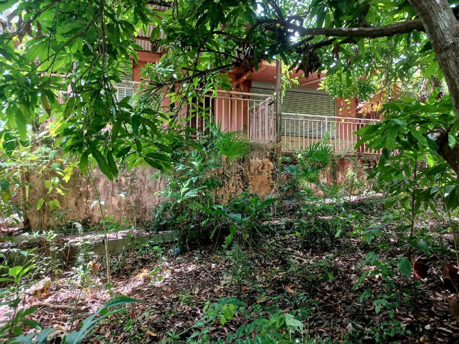 kaufen Haus Sainte-Anne Guadeloupe 3
