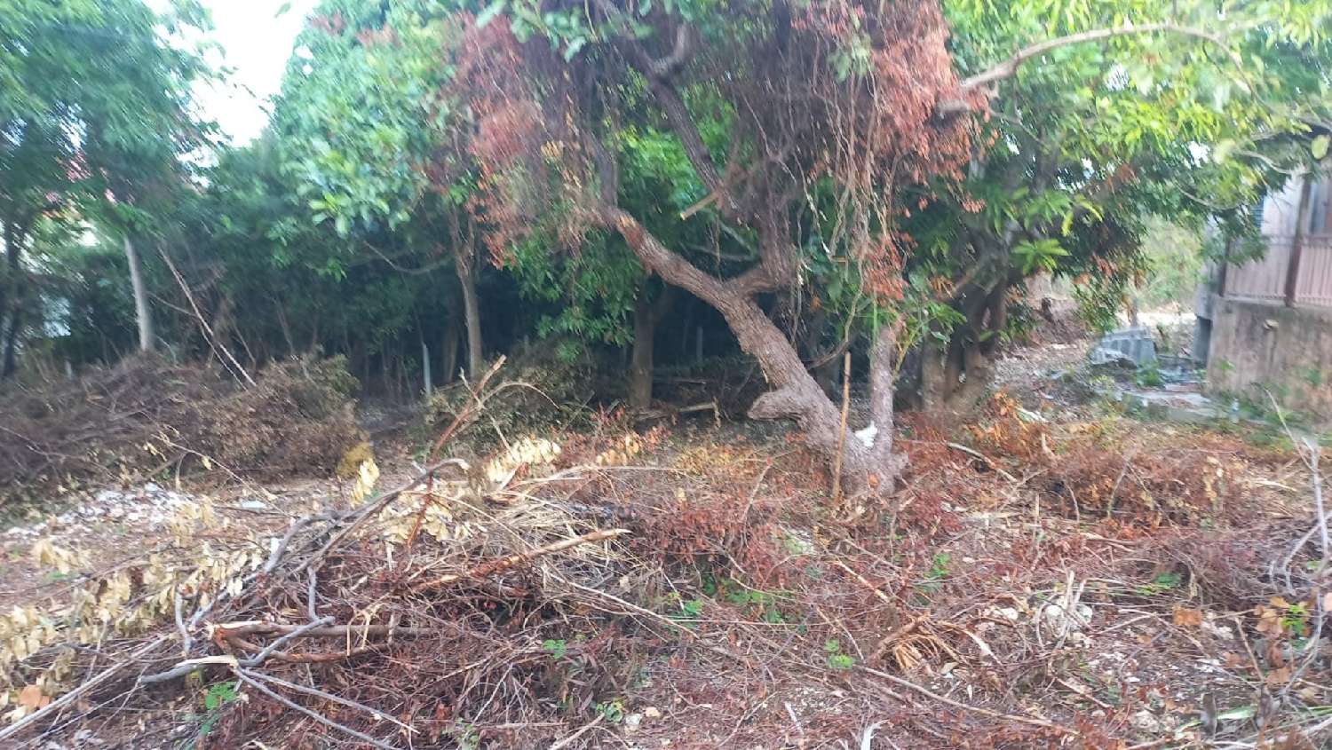 kaufen Haus Sainte-Anne Guadeloupe 4