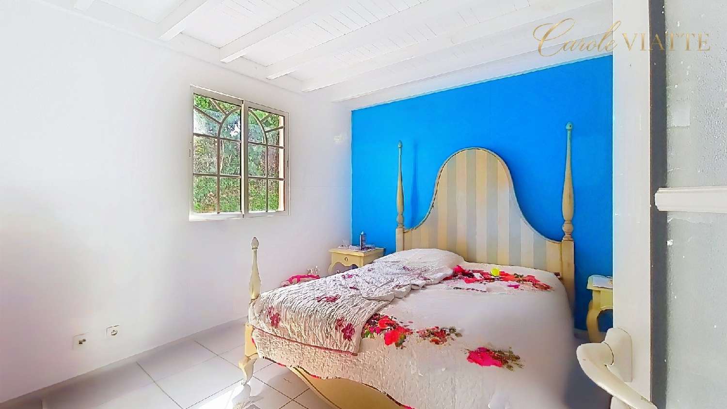  kaufen Haus Sainte-Anne Guadeloupe 8