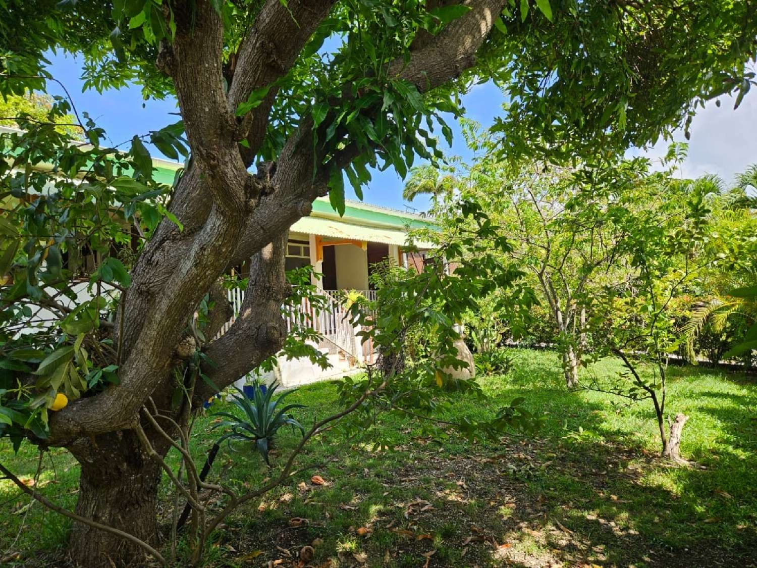en venta casa Sainte-Anne Guadeloupe 2