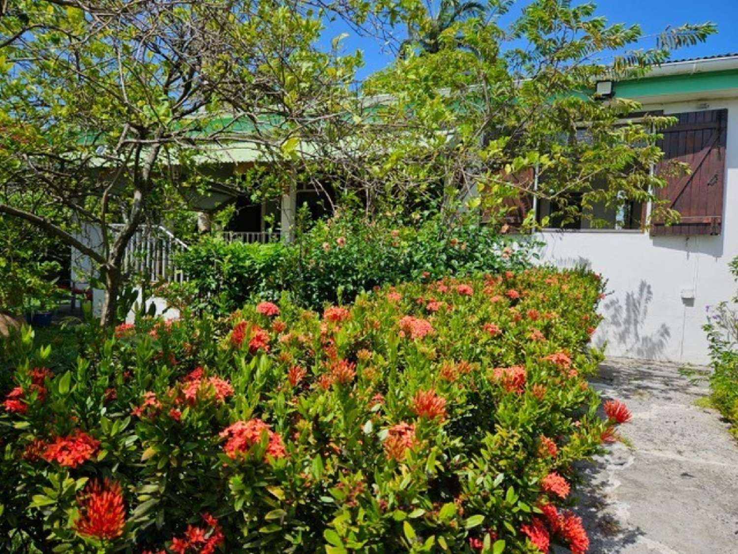 en venta casa Sainte-Anne Guadeloupe 3