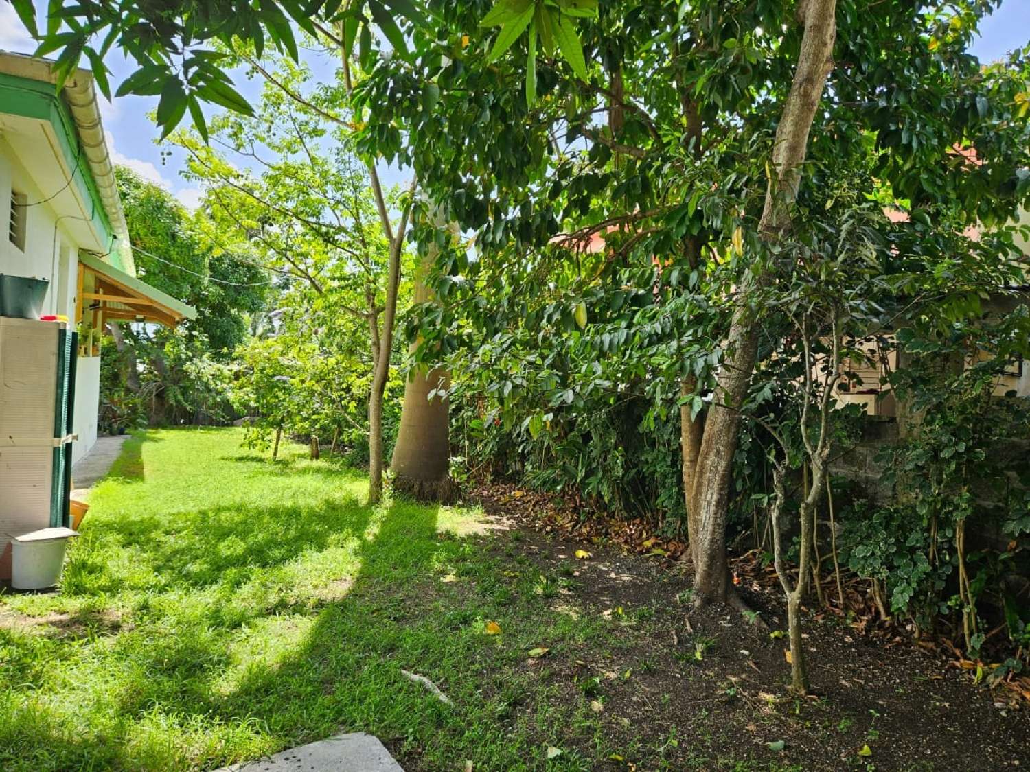 en venta casa Sainte-Anne Guadeloupe 4