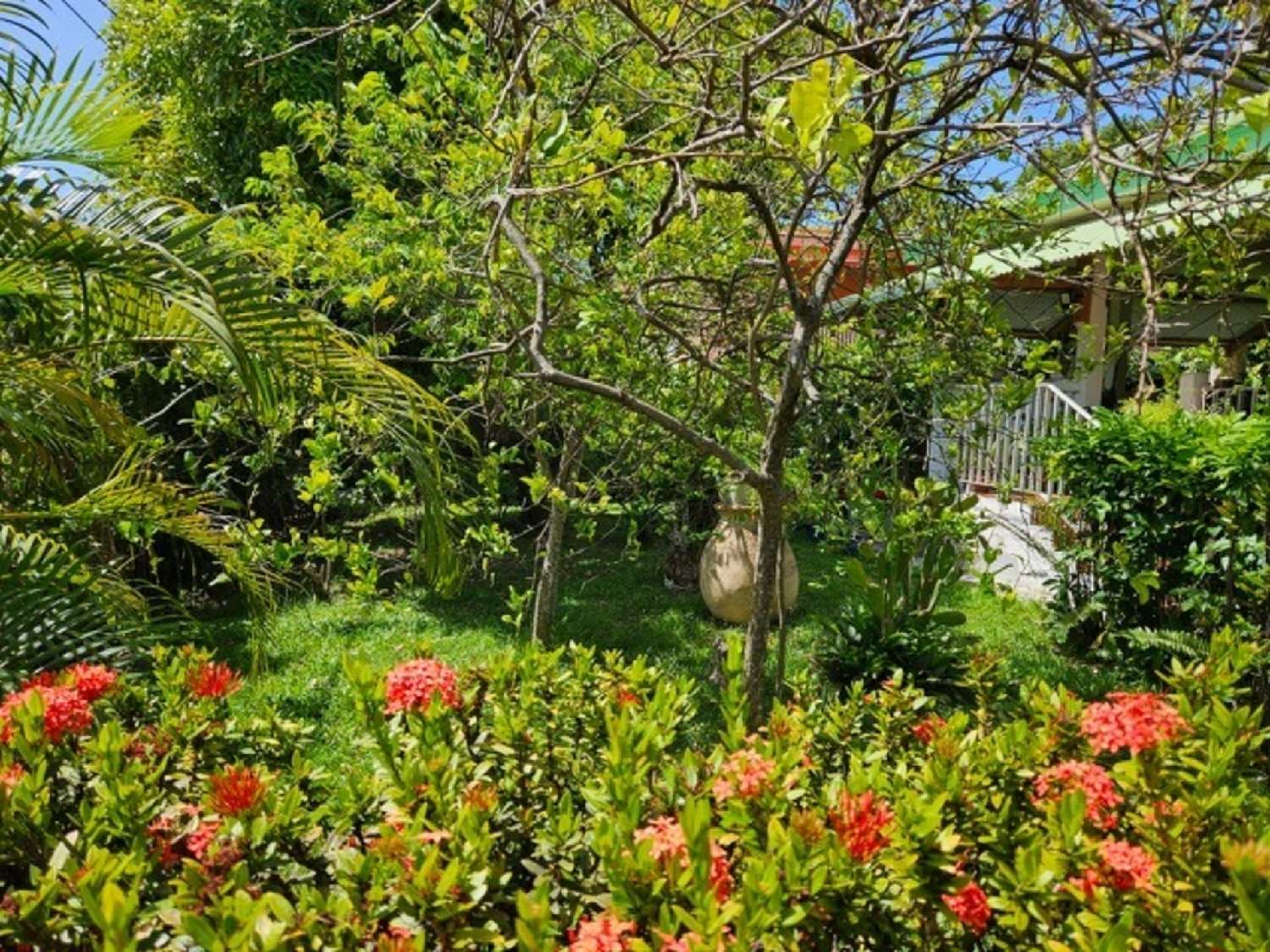 en venta casa Sainte-Anne Guadeloupe 6