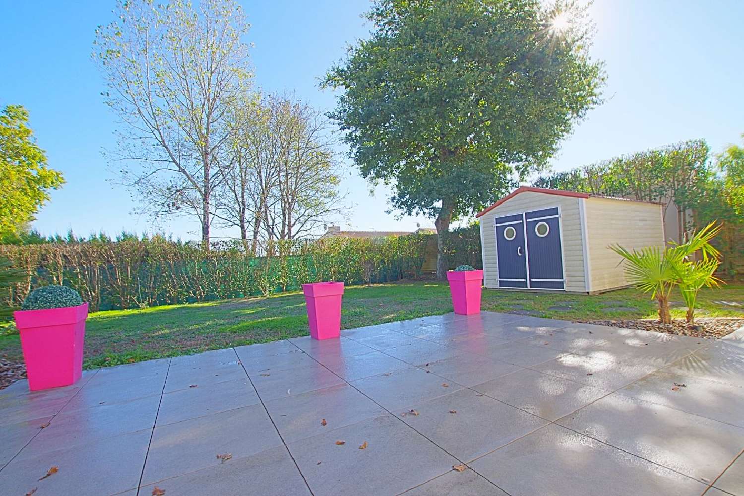  à vendre maison Sainte-Foy Vendée 4