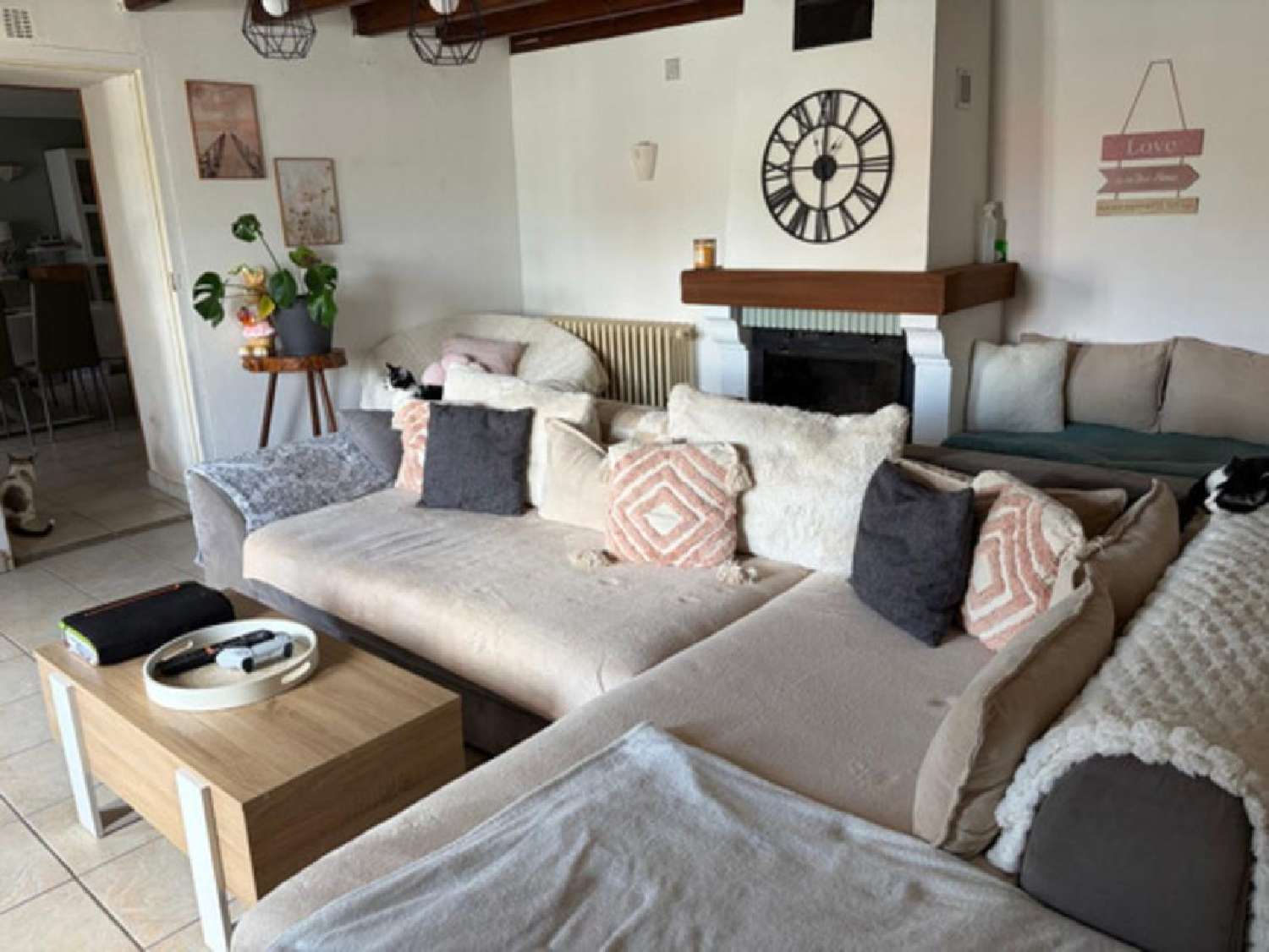  for sale house Sainte-Gemme-la-Plaine Vendée 3