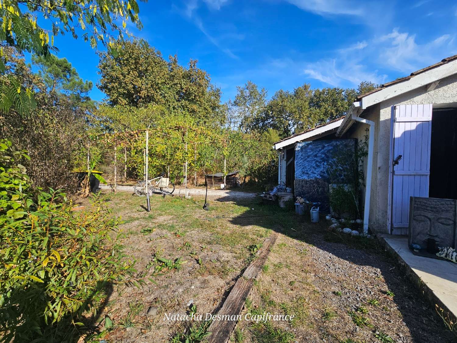 for sale house Salaunes Gironde 5