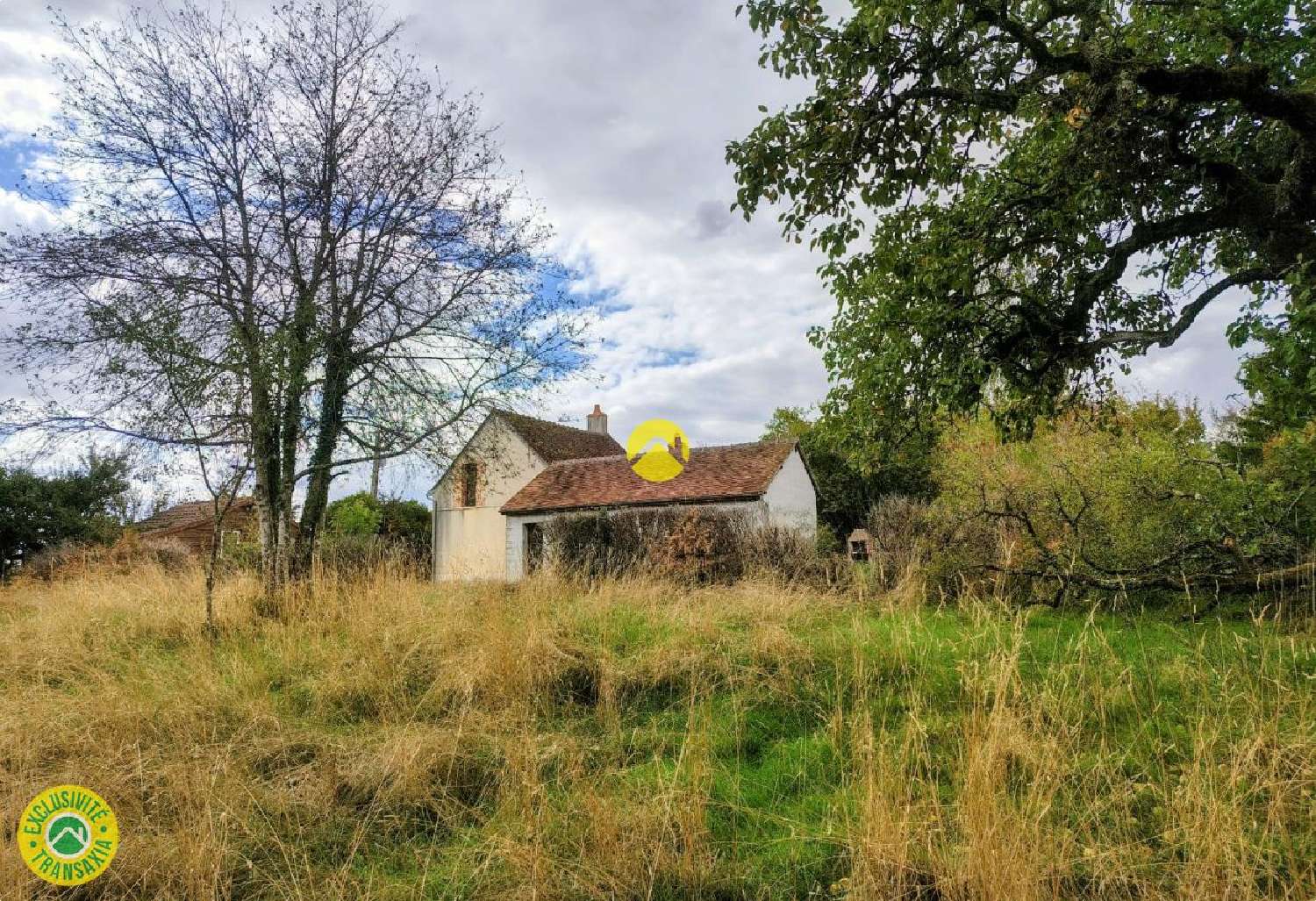 for sale house Sancoins Cher 1