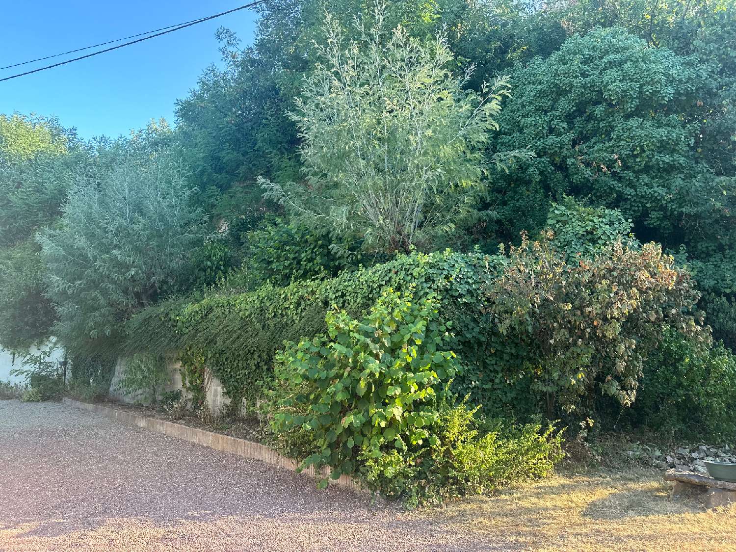 for sale house Saumur Maine-et-Loire 4