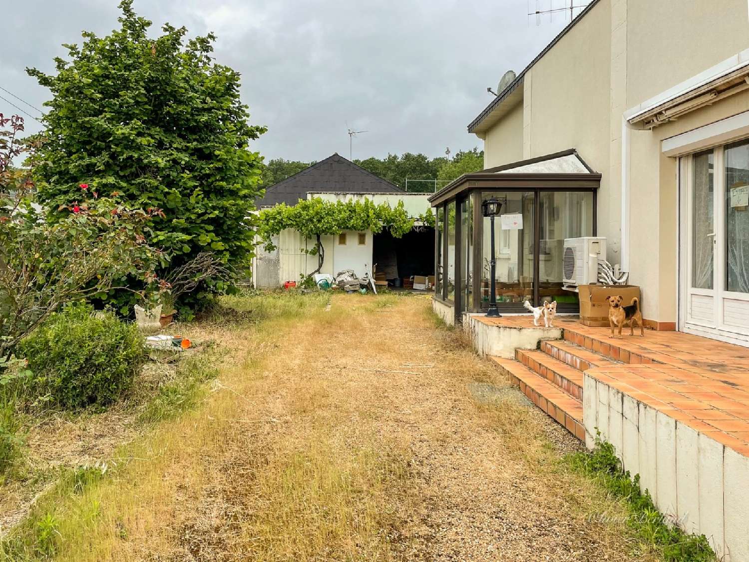 for sale house Saumur Maine-et-Loire 2