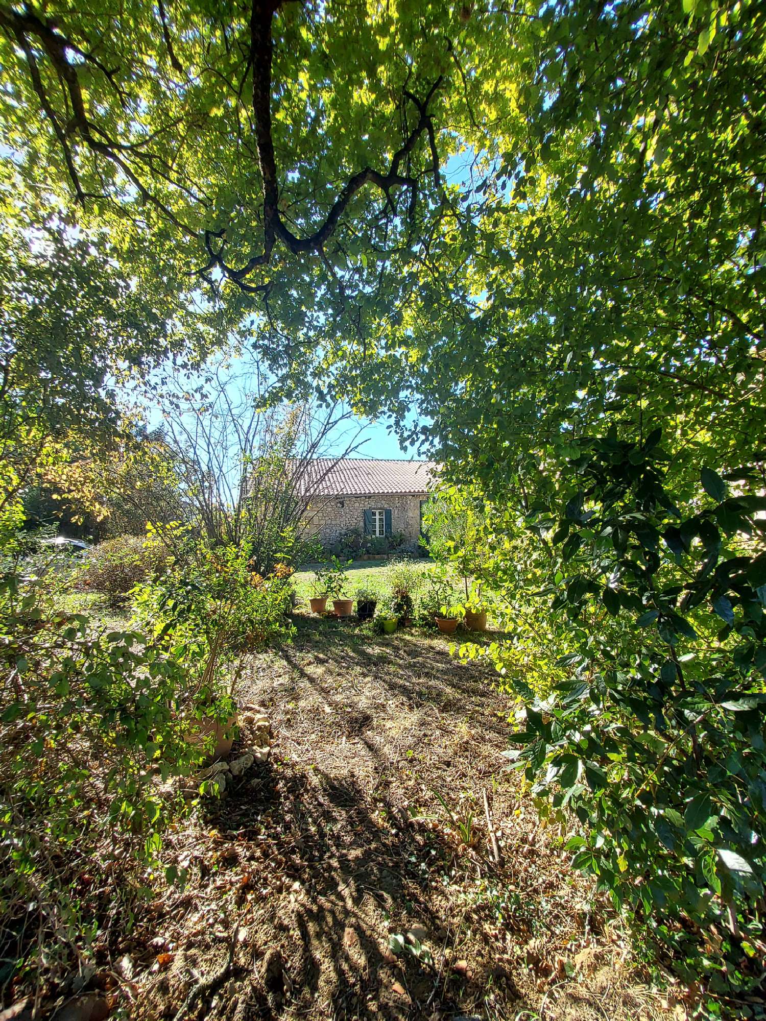  à vendre maison Sauveterre-de-Guyenne Gironde 1