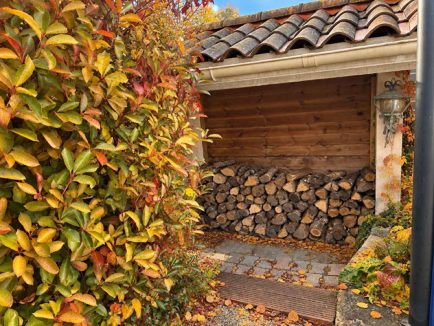  for sale house Savigneux Ain 4