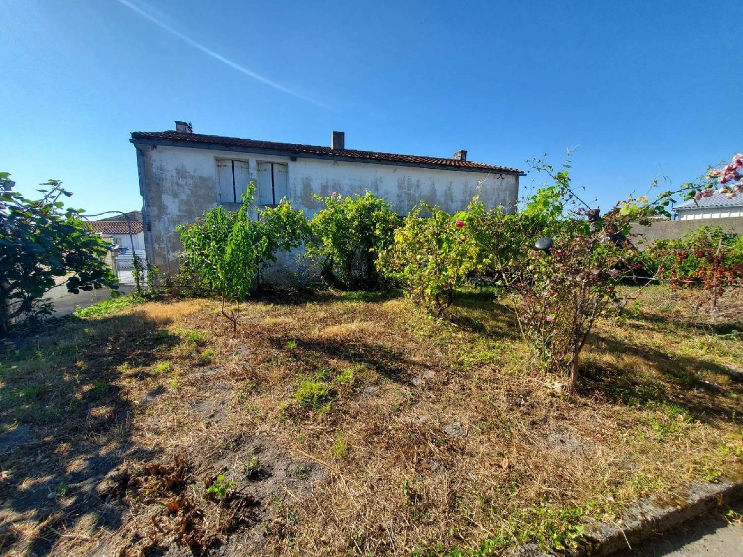 for sale house Sémussac Charente-Maritime 1