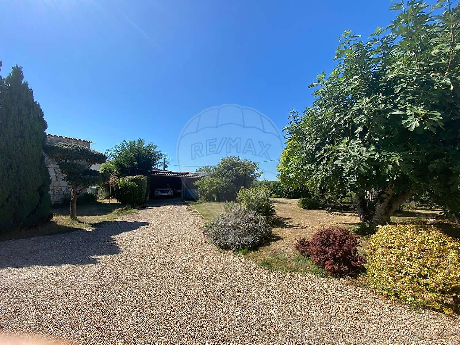 à vendre maison Sémussac Charente-Maritime 5