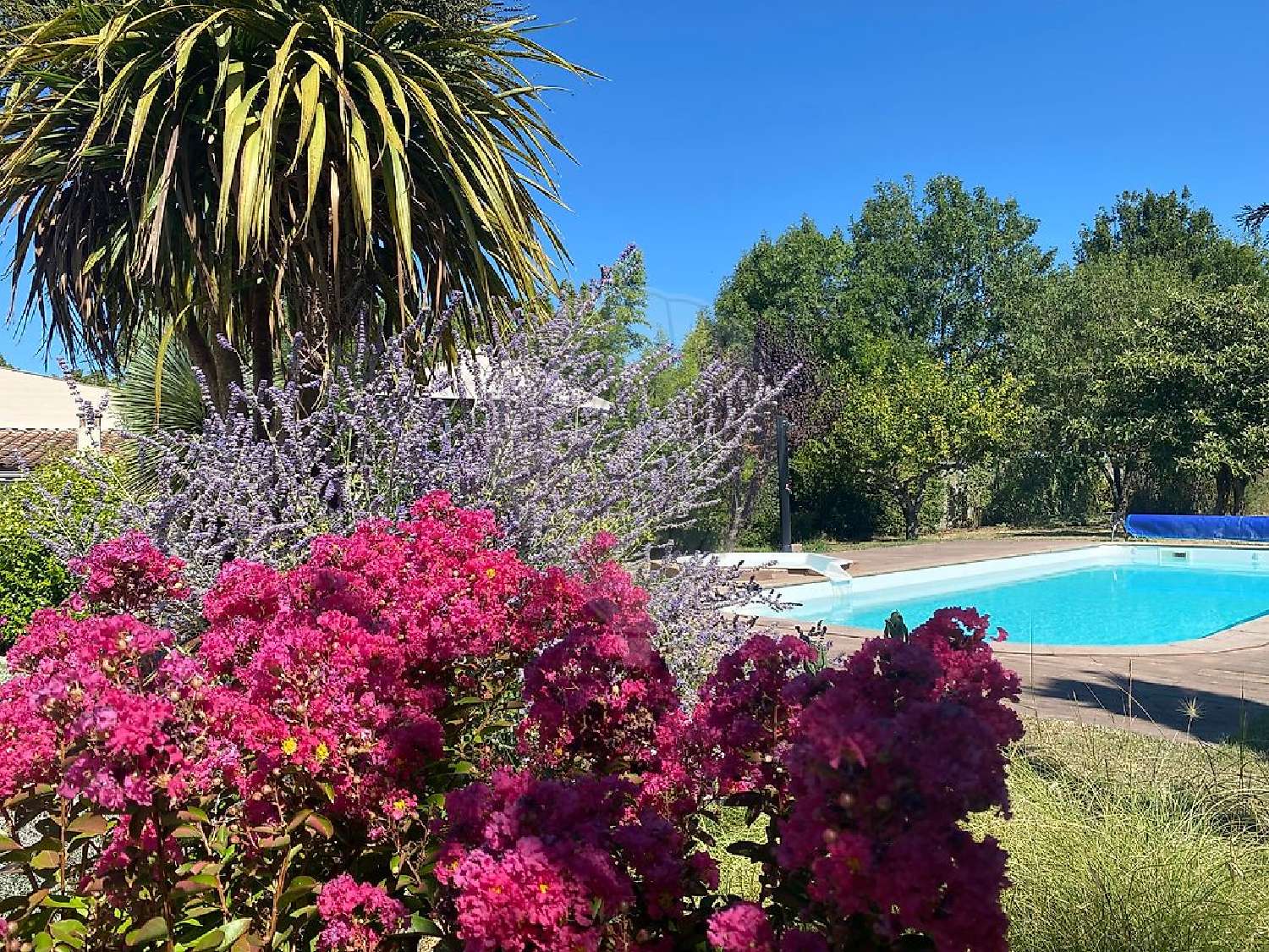 à vendre maison Sémussac Charente-Maritime 8