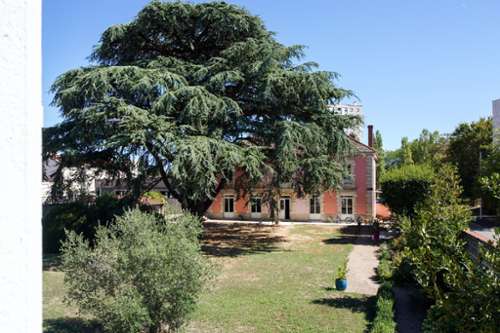 Sennecé-lès-Mâcon Saône-et-Loire maison foto 7424777
