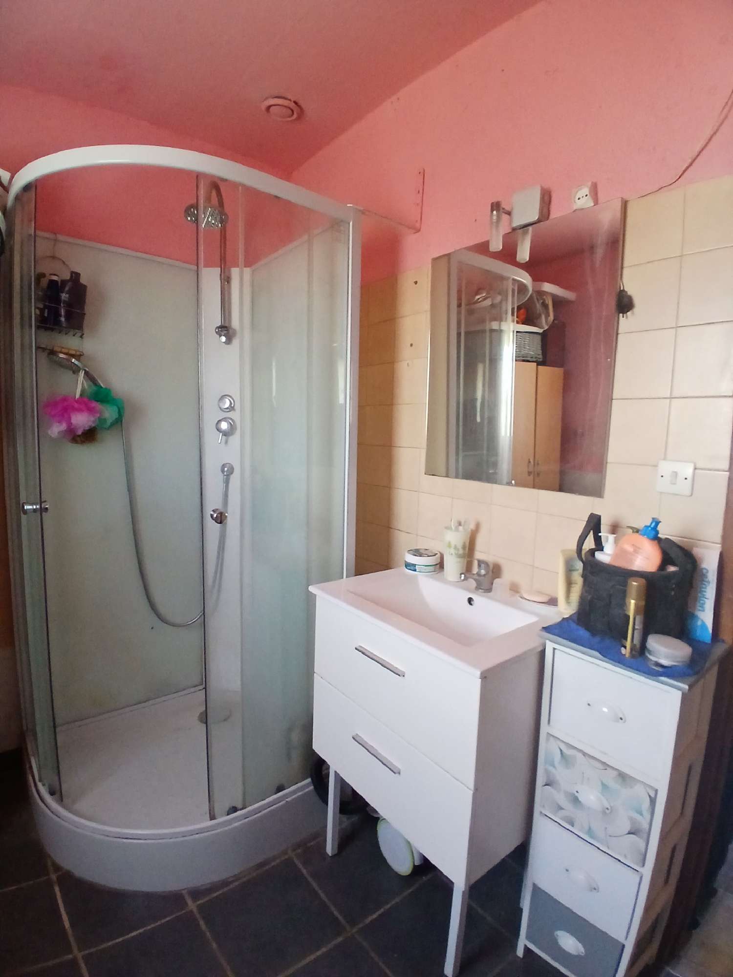  kaufen Haus Sougy-sur-Loire Nièvre 4