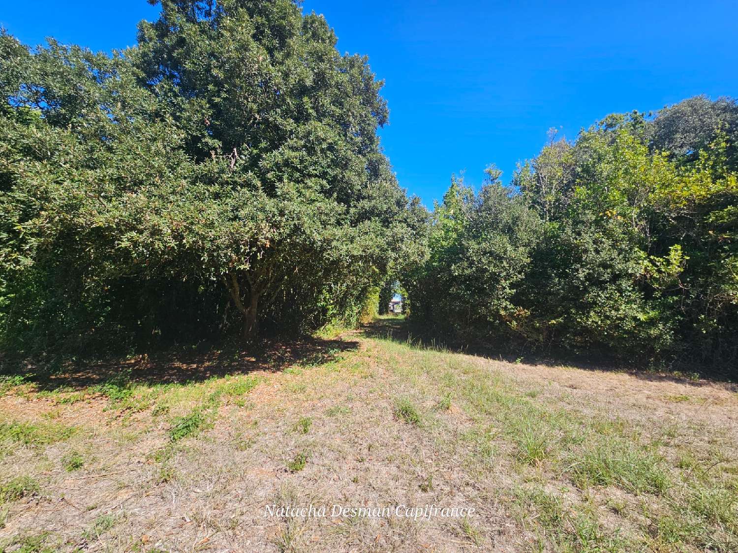 à vendre maison Soulac-sur-Mer Gironde 6