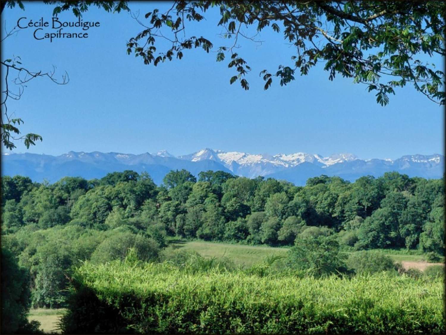 kaufen Haus Soumoulou Pyrénées-Atlantiques 2