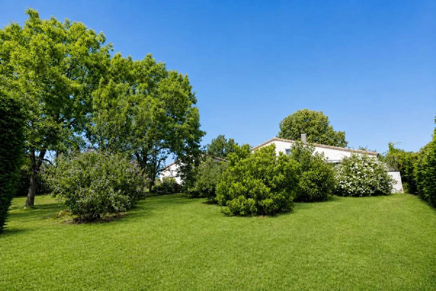 for sale house Teillet Tarn 1
