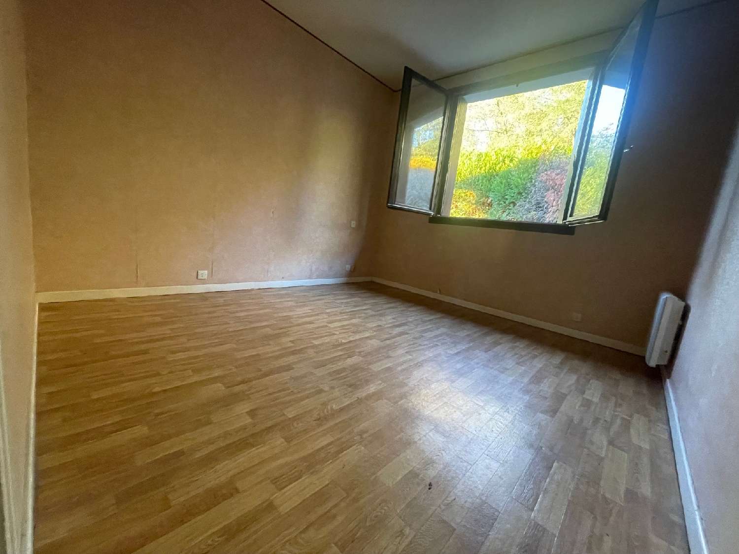  for sale house Terrenoire Loire 7