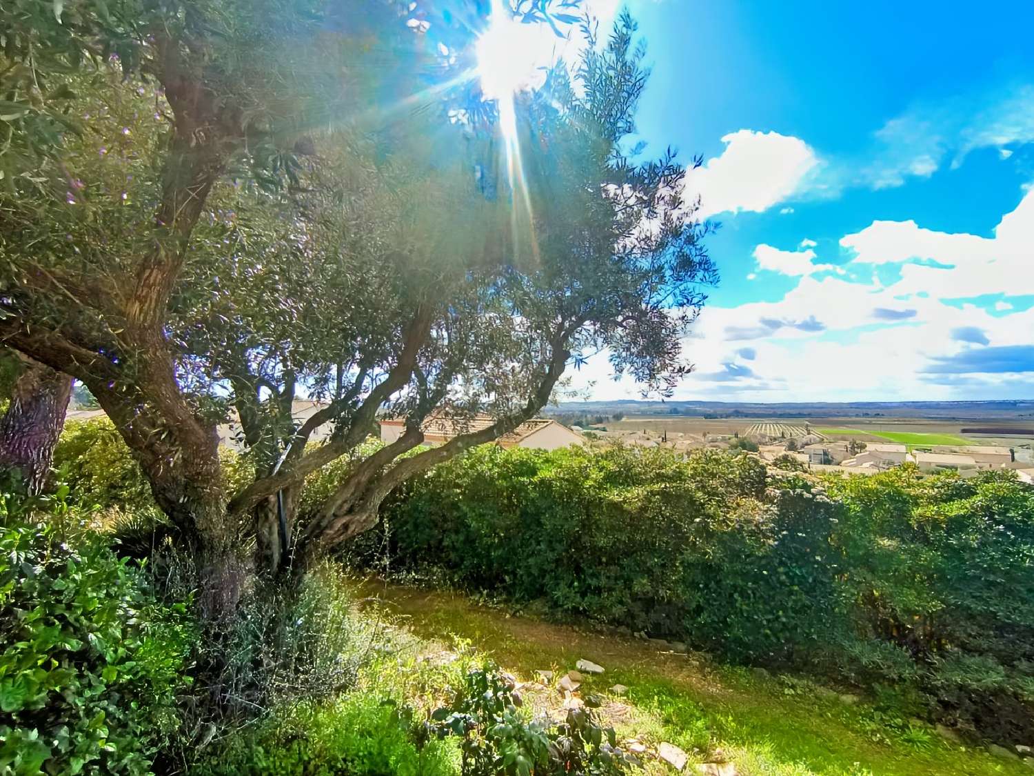 for sale house Thèzan-lès-Béziers Hérault 2