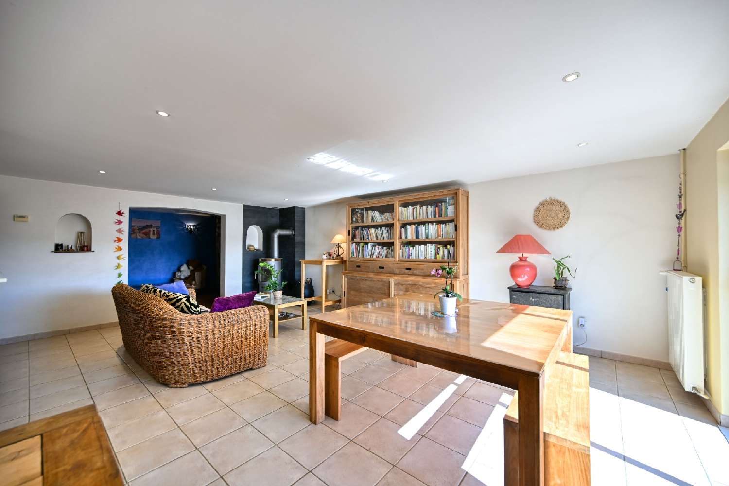  à vendre maison Thurins Rhône 8